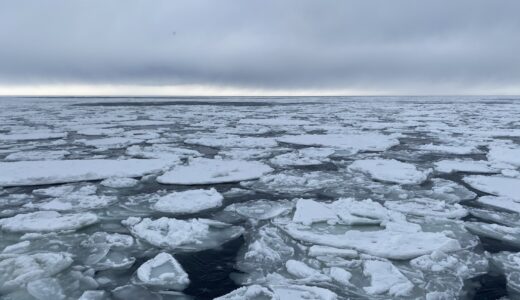 ブログを始めました。