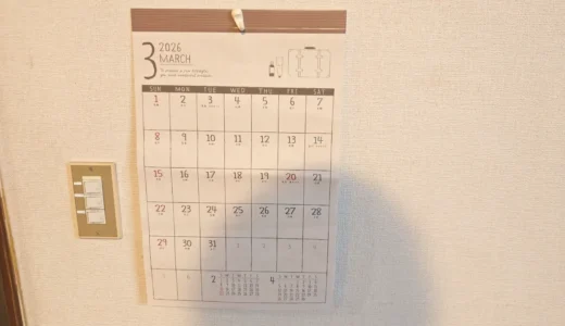 I君に相談して起業に向けた事業の方向性を模索した｜I君は毎日コツコツと研究を頑張っている